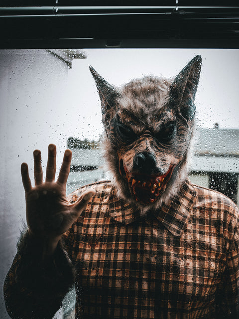 Feral Watcher